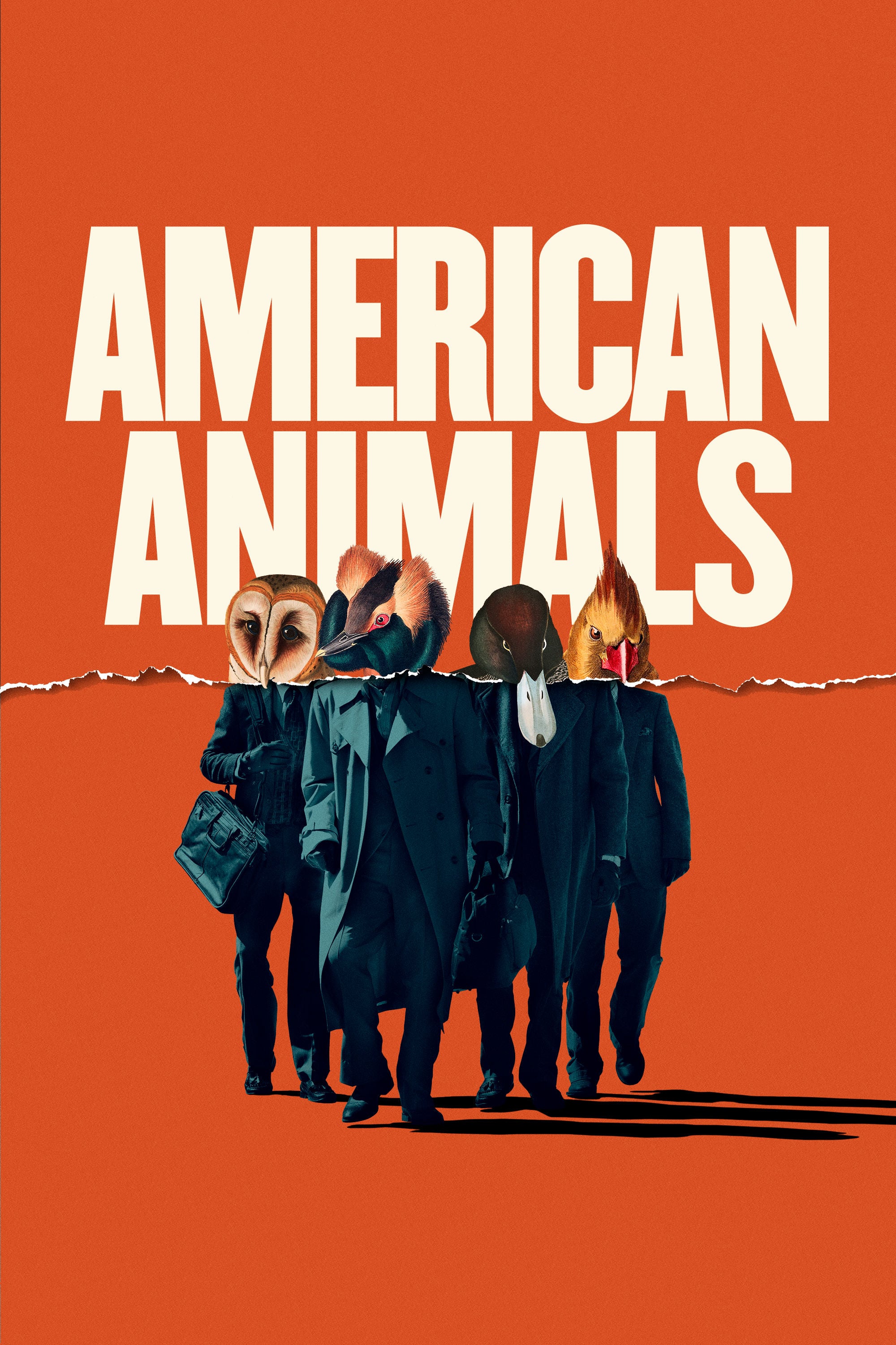 Affiche du film "American Animals"