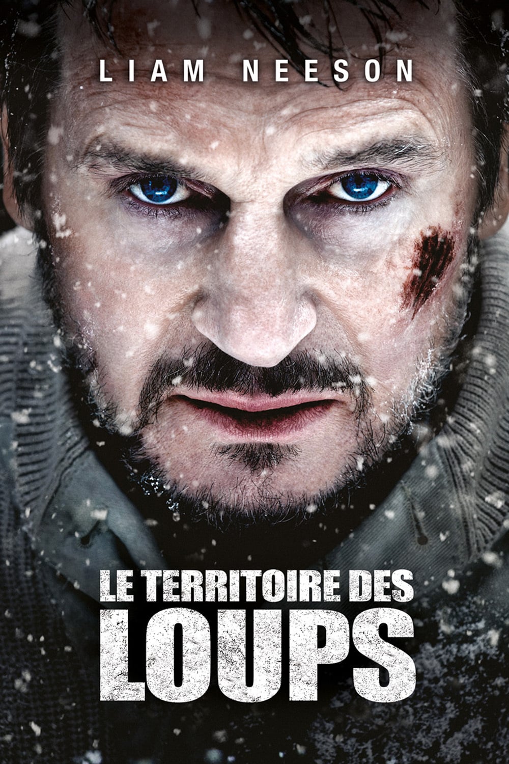 Affiche du film "Le Territoire des loups"