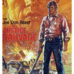Affiche du film "Justice sauvage"