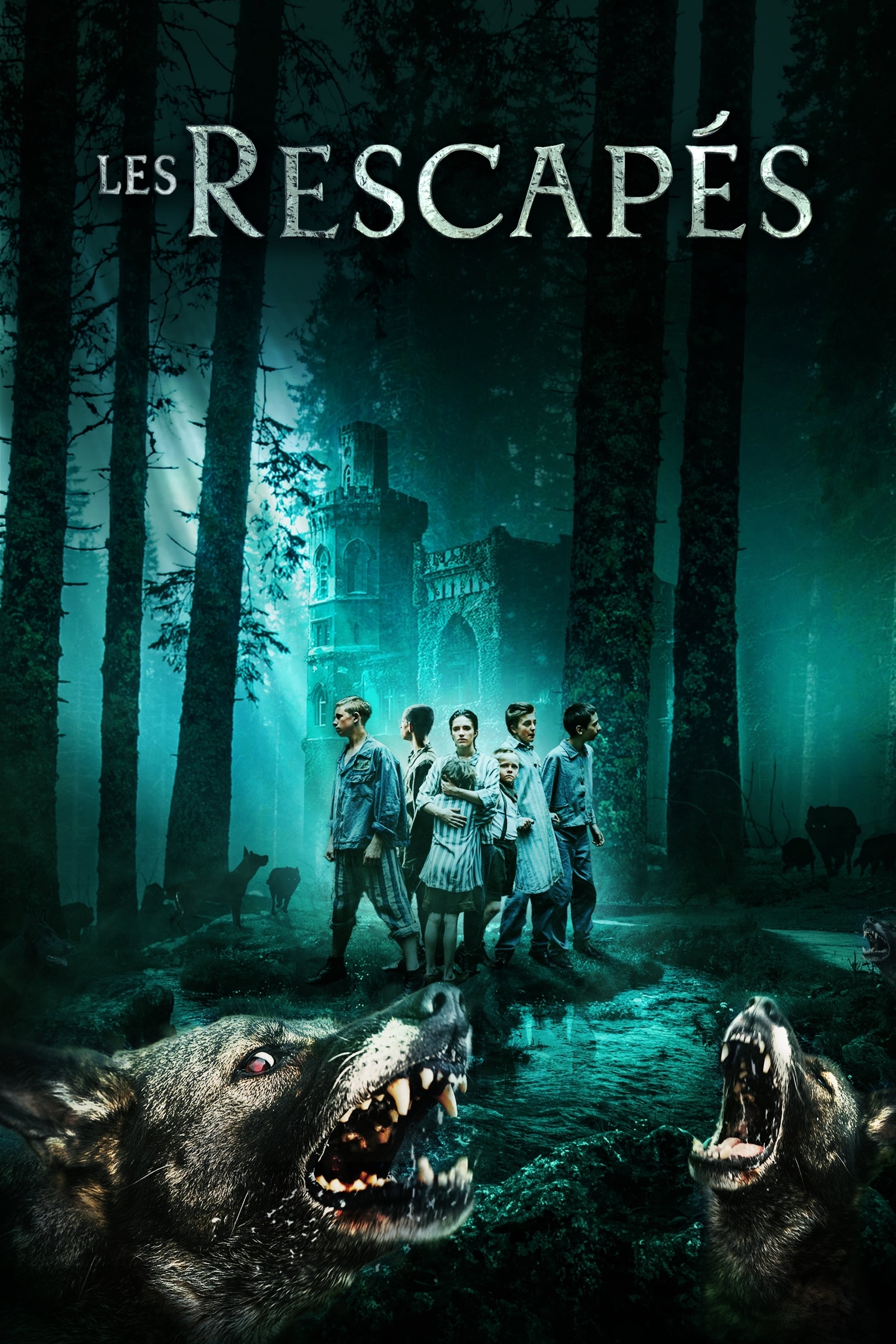 Affiche du film "Les Rescapés"