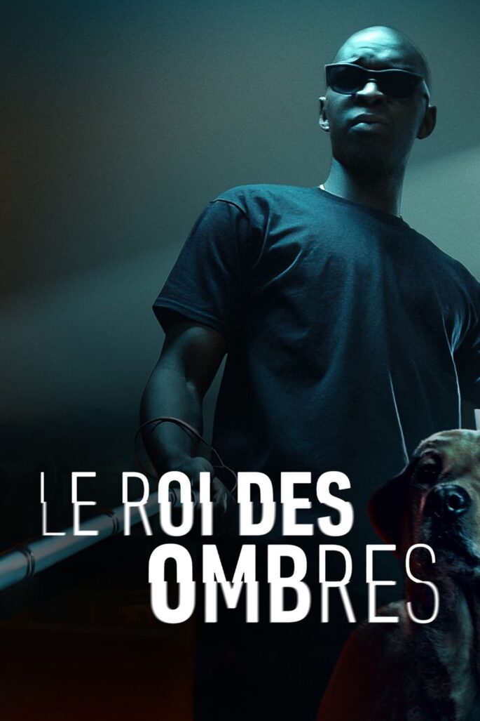 Affiche du film "Le Roi des Ombres"