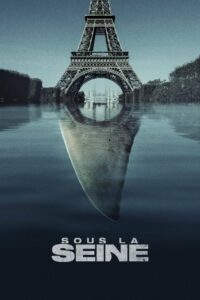 Affiche du film "Sous la Seine"