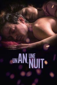 Affiche du film "Un an, une nuit"